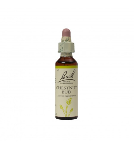 Bach Flower Chestnut Bud, 20ml