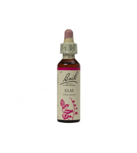 Bach Flower Elm, 20ml