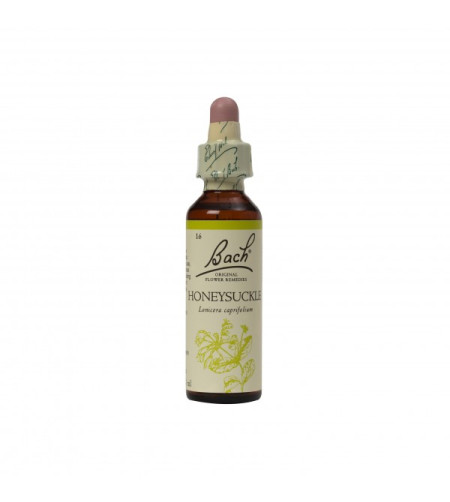 Bach Flower Remedies Honeysuckle, 20ml
