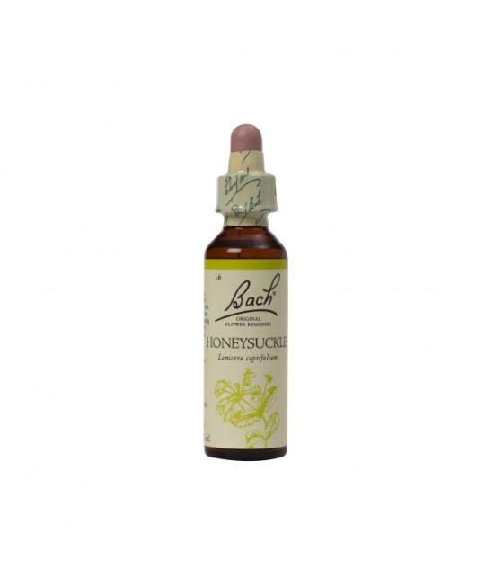 Bach Flower Remedies Honeysuckle, 20ml